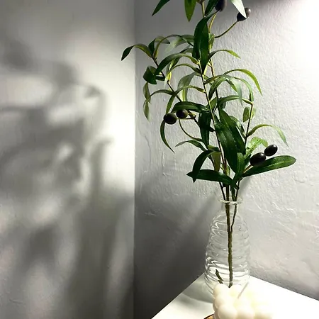 Primavera Centro شقة