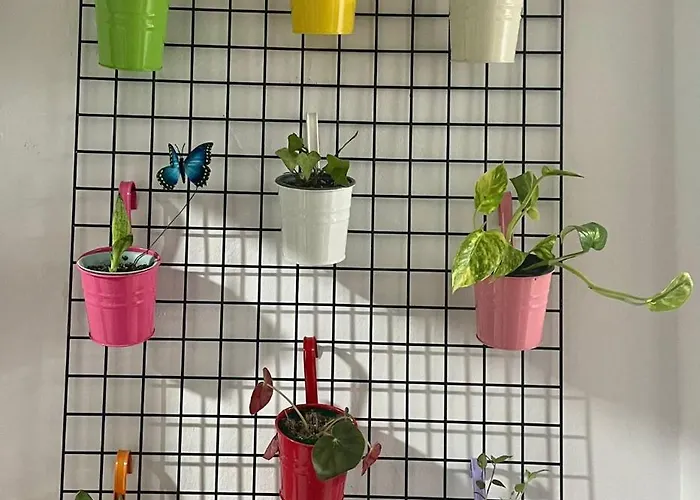 Primavera Centro 公寓 龙达