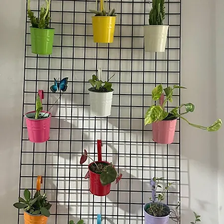 Primavera Centro Apartment Ronda