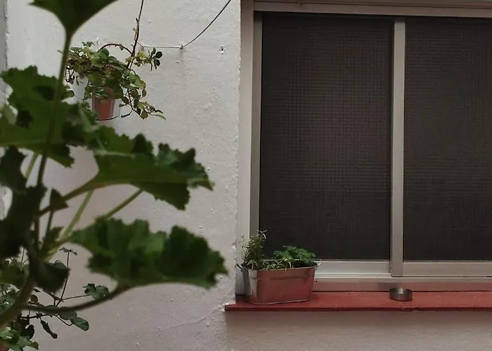 Primavera Centro * 龙达