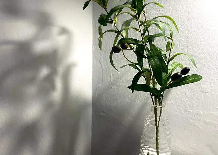 Primavera Centro 公寓